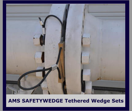 AMS SAFETYWEDGE Tethered Wedge Sets